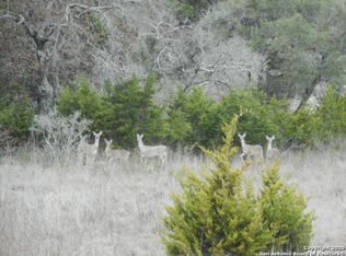 126 Riddle Rd, Spring Branch, TX 78070