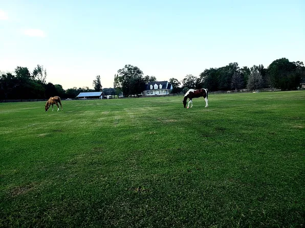 83 Pruitt Farm Rd, Deatsville, AL 36022