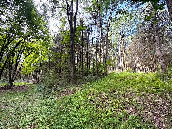 2nd image of 2 Dutton Loop Lot 2