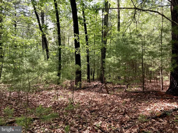 L7 Quaker Woods Ln, Capon Bridge, WV 26711