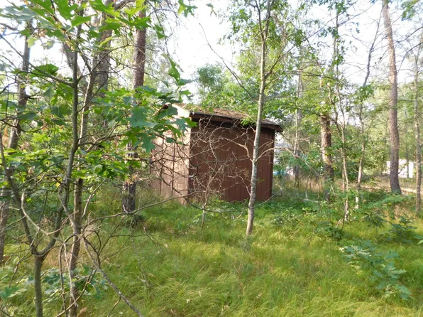 Alexia Ln, Grayling, MI 49738