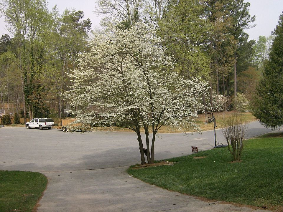 2nd image of 415 Briarwood Ct