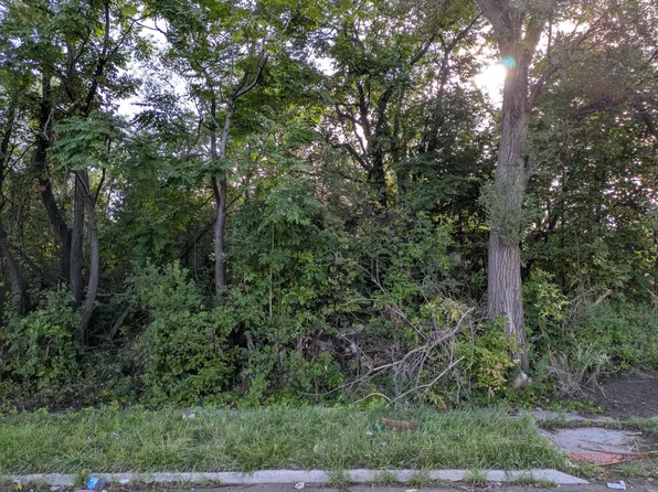 17280 Dequindre St, Hamtramck, MI 48212