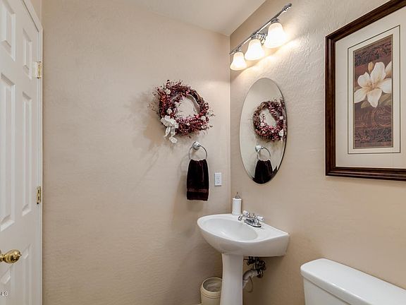 19Desert Willow