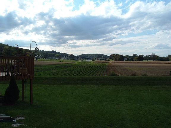 Strawberry field off deck