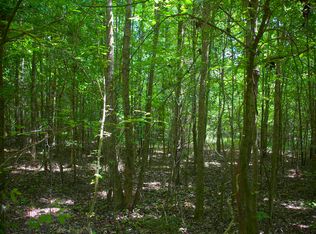 1120 Plum Point Rd, Pope, MS 38658