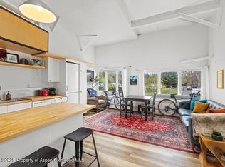 412 N Mill St #B9, Aspen, CO 81611