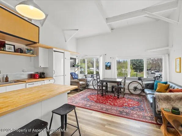 412 N Mill St #B9, Aspen, CO 81611