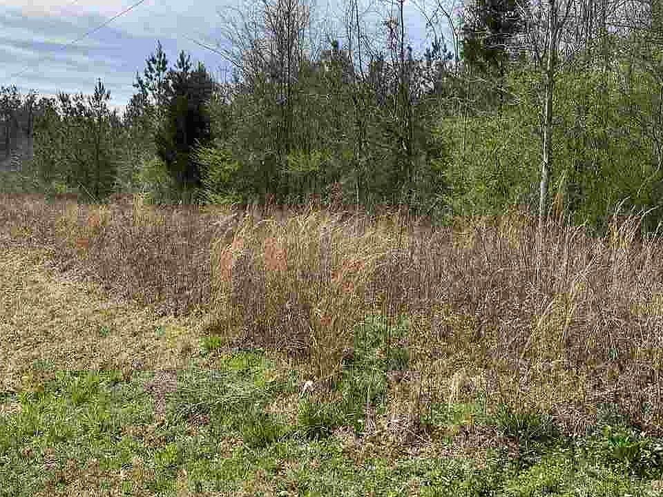 2nd image of 5555 County Road 45 #1