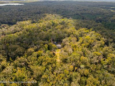 16109 Buczak Rd, Brooksville, FL, 34614