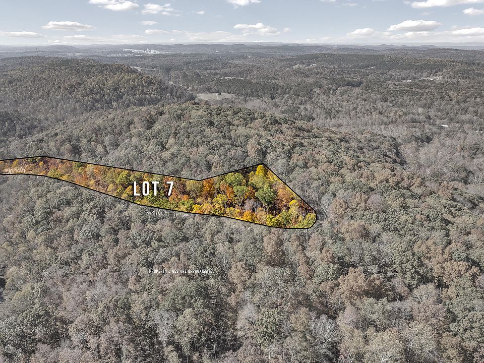 1st image of LOT 7 County Road 29