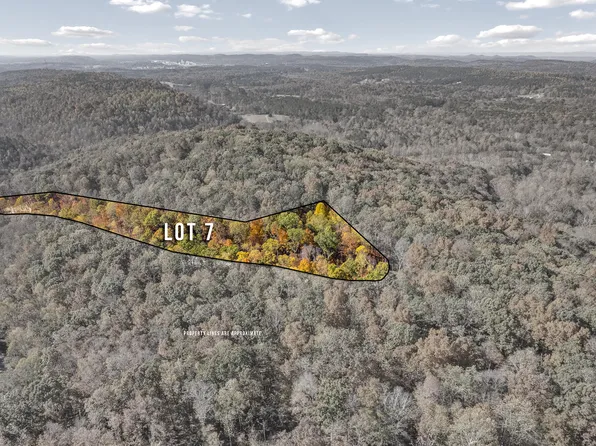 LOT 7 County Road 29, Riceville, TN 37370