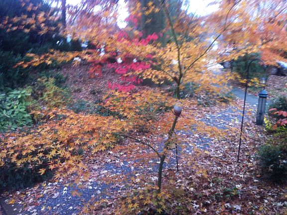 Gravel Pathways