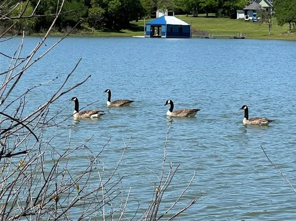 399 Arbor Cove Ln, Little Elm, TX 75068