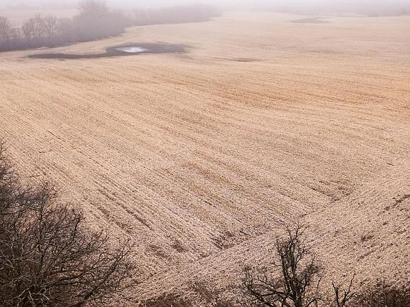 2nd image of 8319 3 MILE ROAD