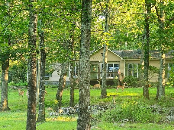 4th image of 600 Lewis Mountain Rd