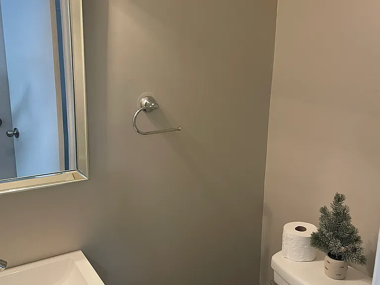 Downstairs half bath