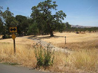 2nd image of 833 Los Viboras Rd