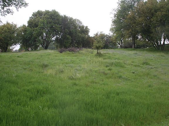 5th image of Live Oak Dr