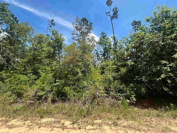 5th image of Tamarac Rd