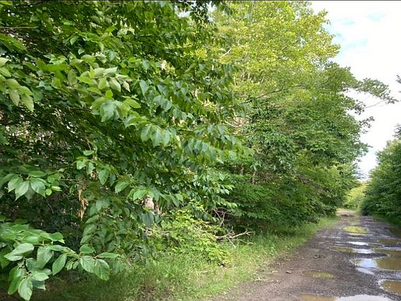 3rd image of Simons Rd