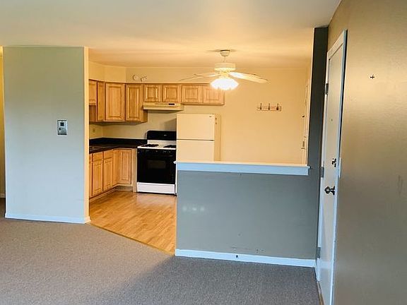 4th image of 1003 Argyle St APT 8A