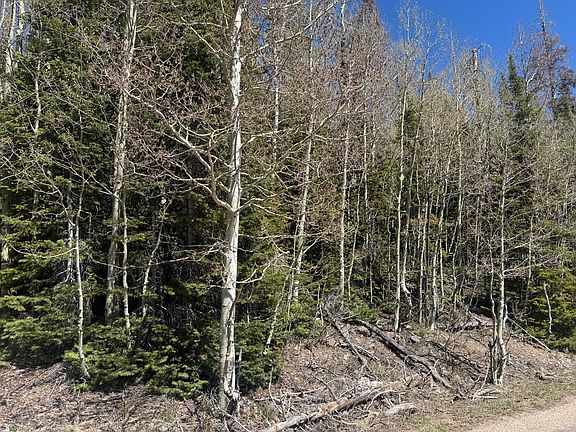 4th image of 397 W Eagles Roost St #59