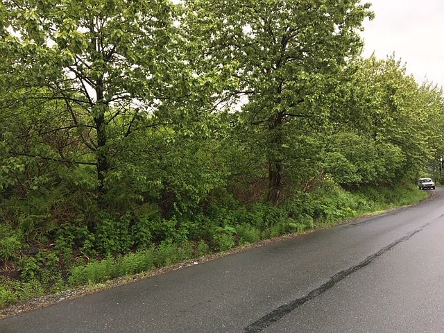 2nd image of 11020 Kalsin Dr