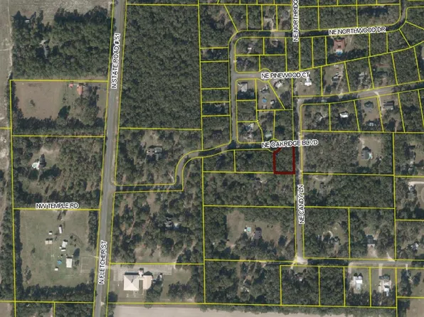  Oakridge Blvd, Mayo, FL 32066
