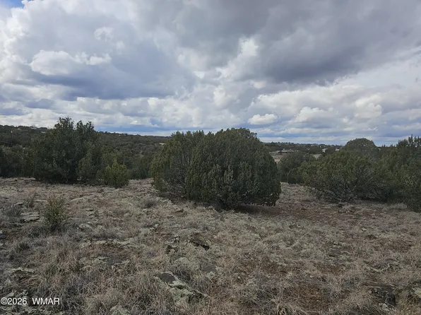 1903 Ponce Pl, Show Low, AZ 85901