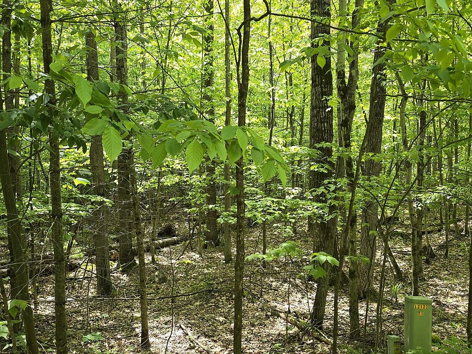 2nd image of 0 Butternut Ln