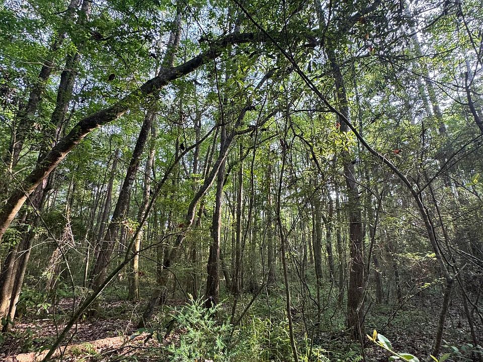 2nd image of 6 Acres Hill St