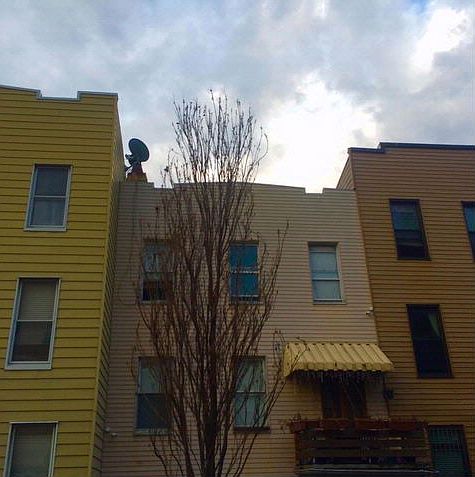 1st image of 99 Eckford St