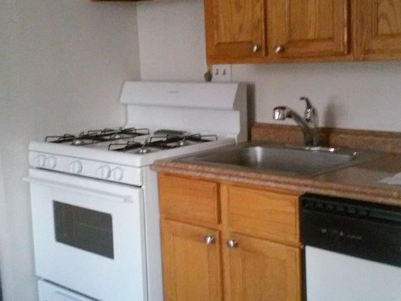 kitchen cabinets, dishwasher