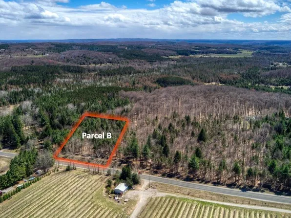 PARCEL E Bodus Rd #B, Cedar, MI 49621