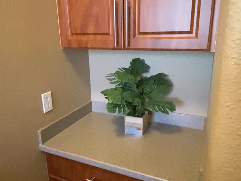 550 Kunehi St #202 — Photo 8