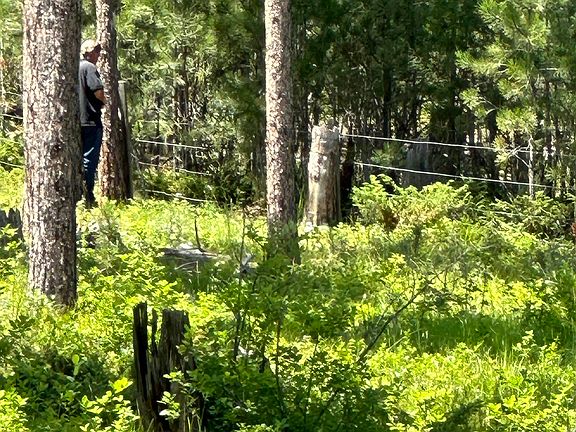 4th image of 21301 Vanocker Canyon Rd