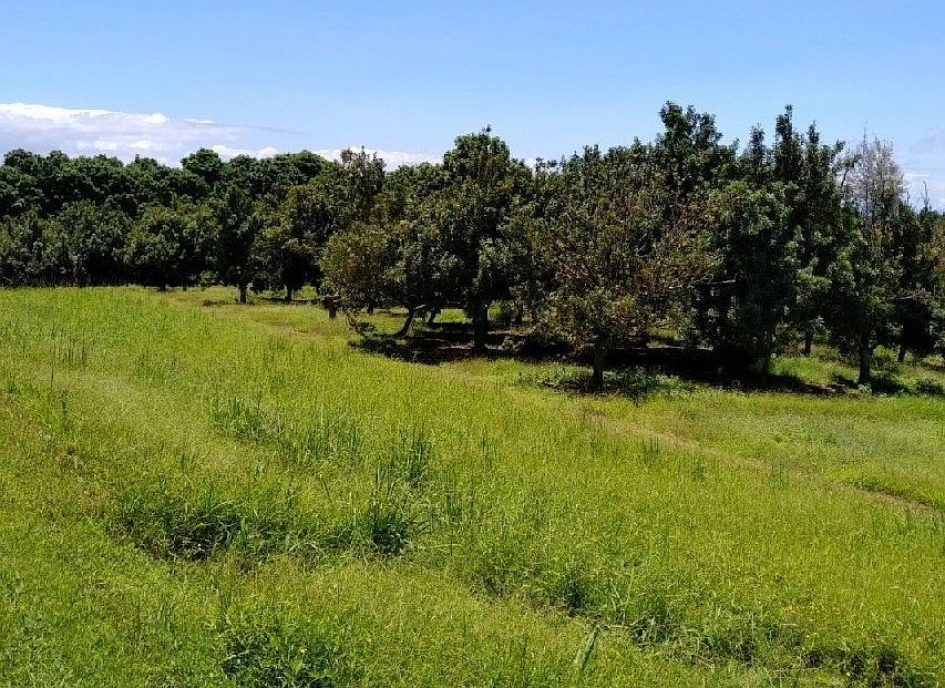 2nd image of 27-471 La Rd Lot 39
