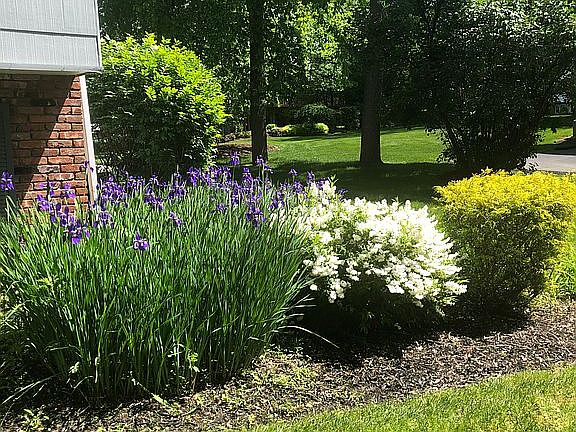 5th image of 6 Connecticut Ct