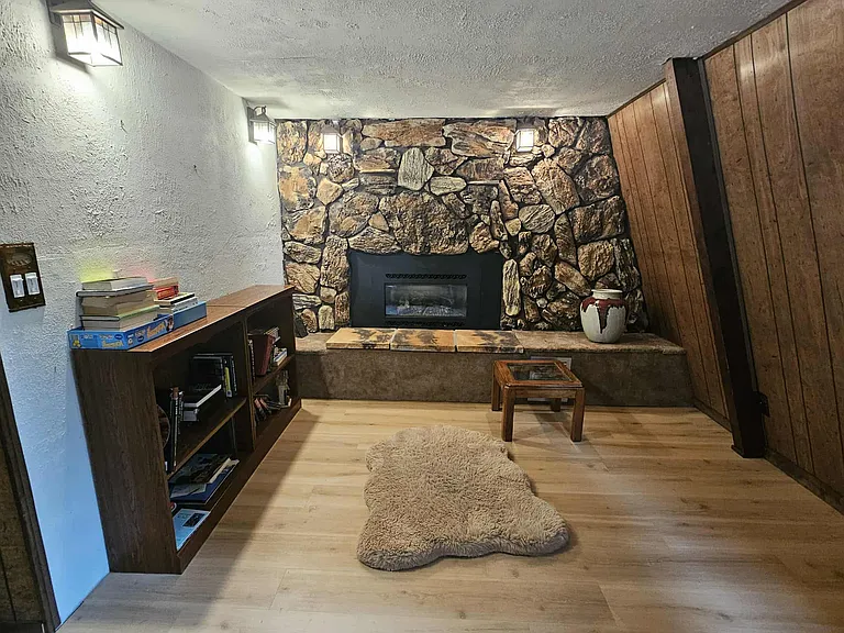 Gas Fireplace reading area