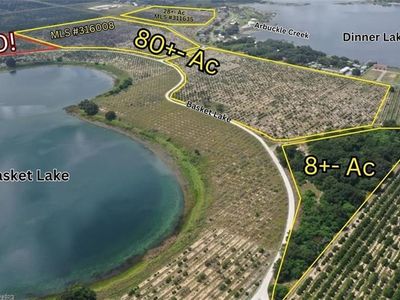 1123 Basket Lake Rd LOT 62, Avon Park, FL, 33825