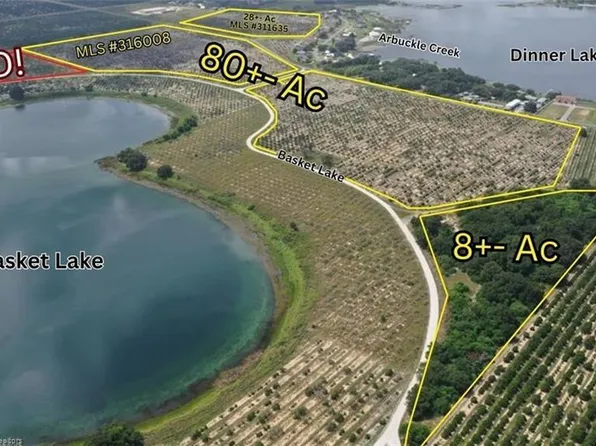 1123 Basket Lake Rd Lot 62, Avon Park, FL 33825
