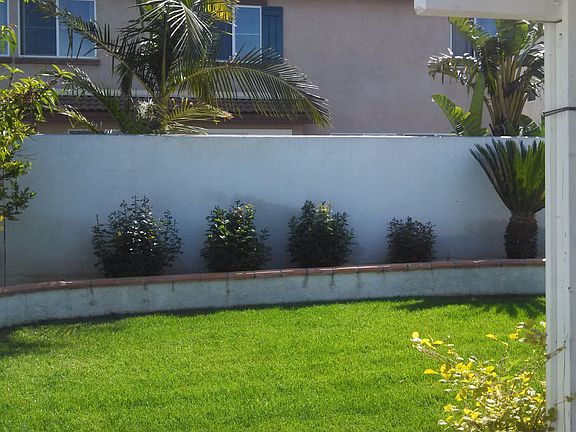 Backyard with fruit trees