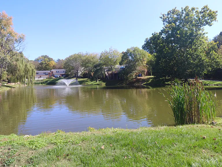 1005 Lakefront Dr — Photo 44