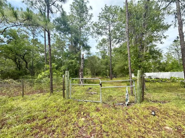 NE 3rd Pl Lot 4, Williston, FL 32696