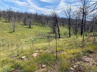 421 Spangle Dr #421, Fort Garland, CO 81133