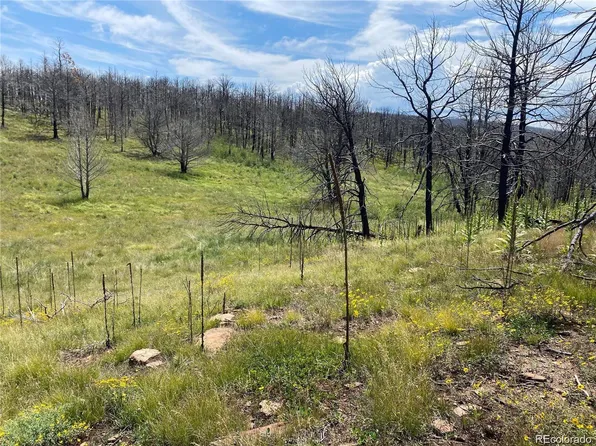 421 Spangle Drive LOT 421, Fort Garland, CO 81133