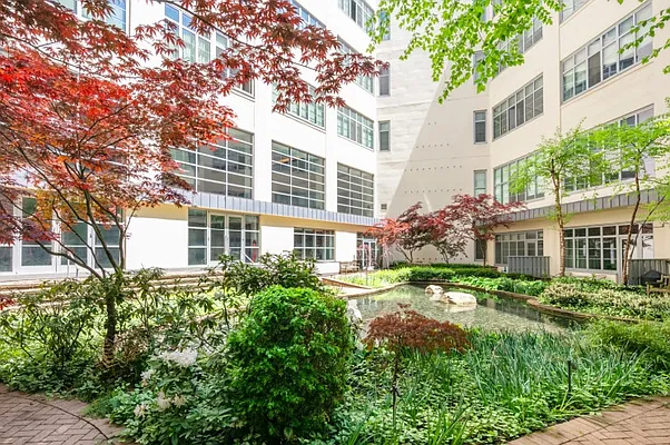 Rented by Douglas Elliman | media 14