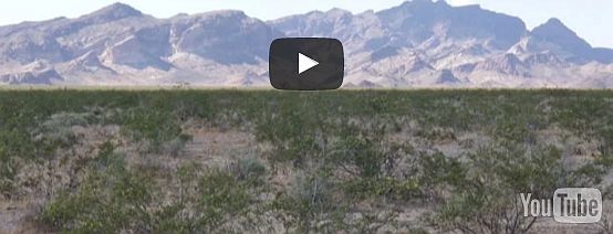 1st image of Near Hwy #395