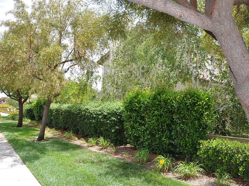 1st image of 32682 Campo Dr